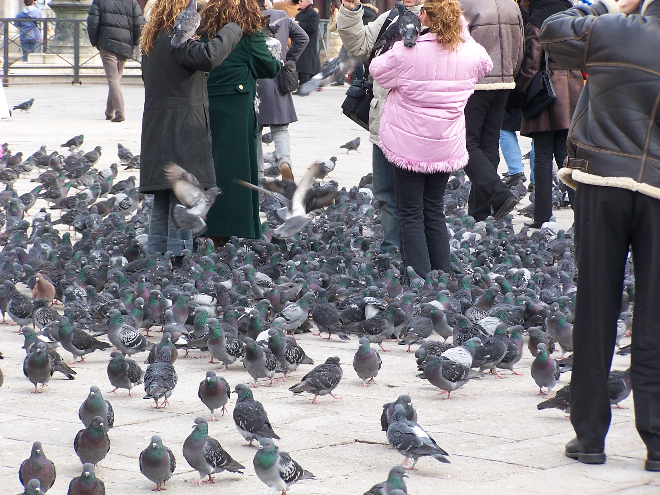 10 Everyday Things That Are Illegal in Other Countries — and Could Land Tourists in Trouble