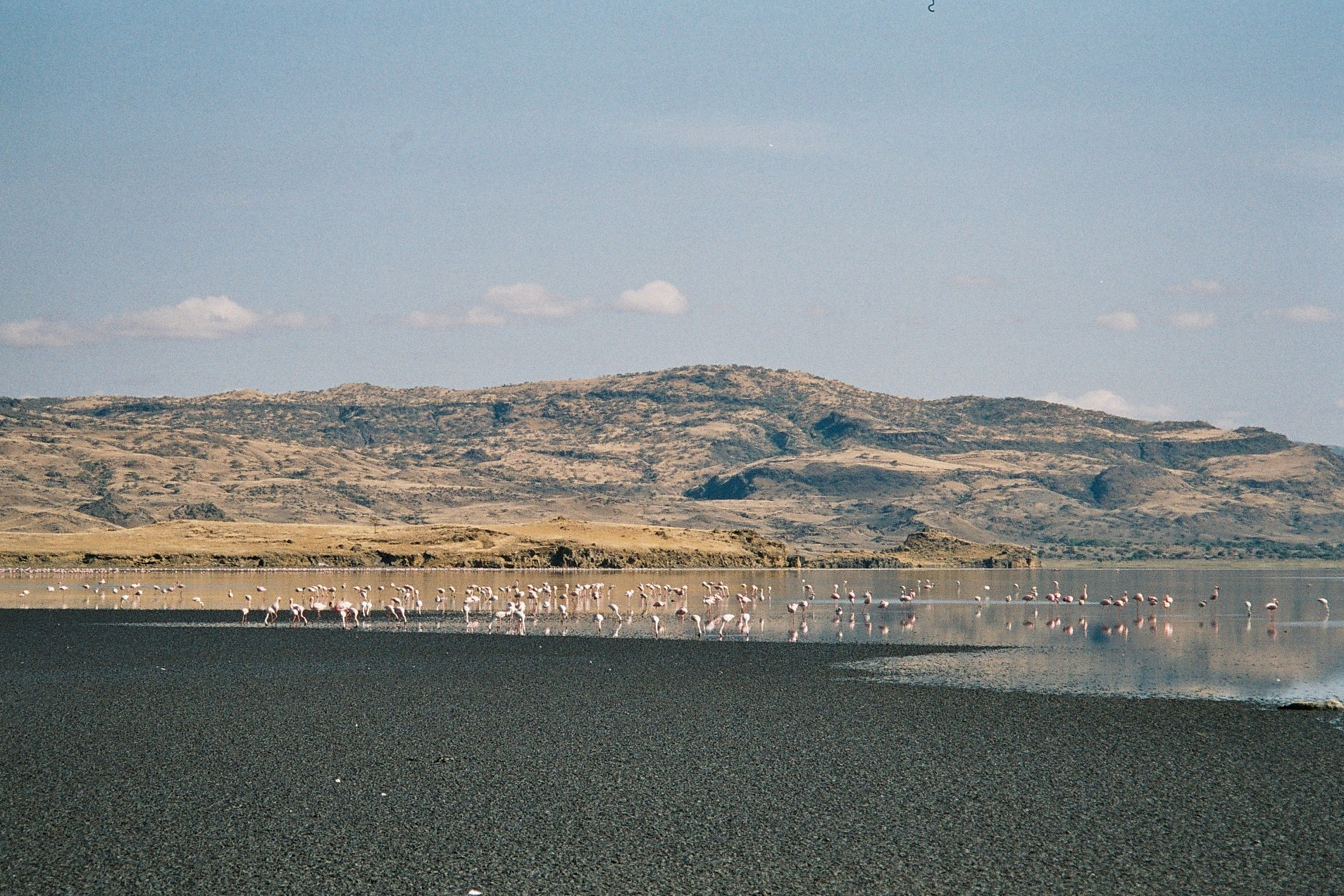 Lake Natron