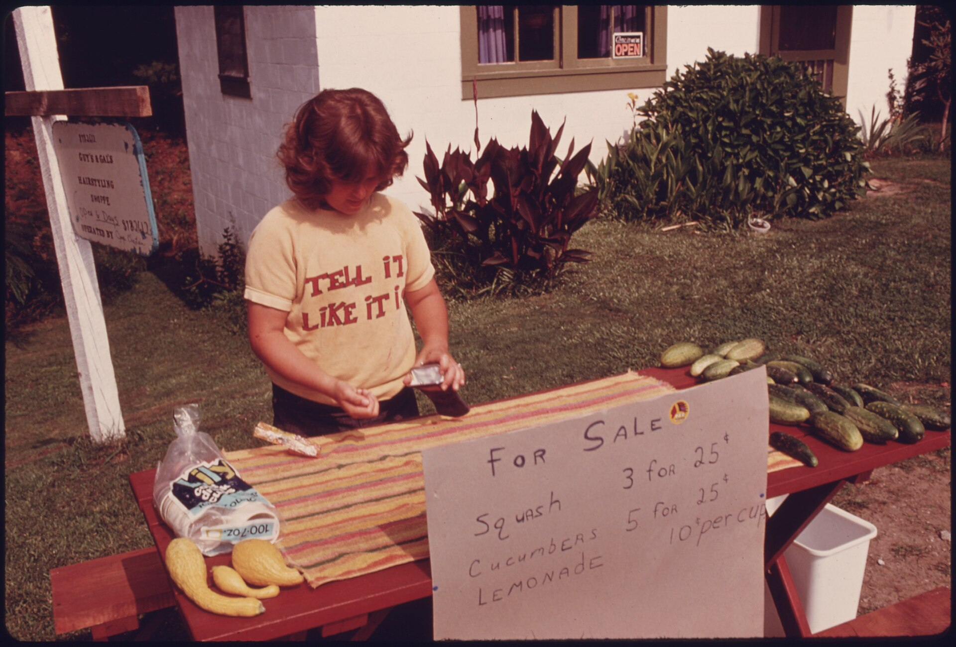 The Lemonade Stand