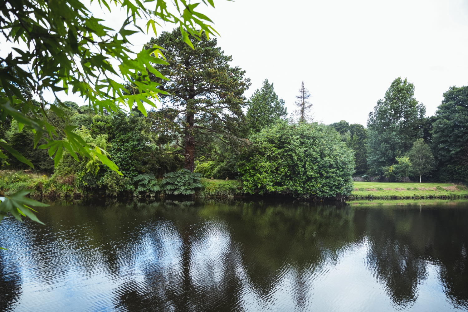 Lake
