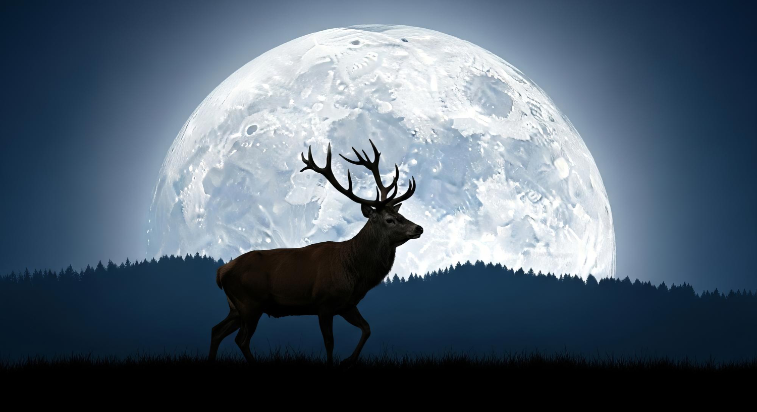 full moon