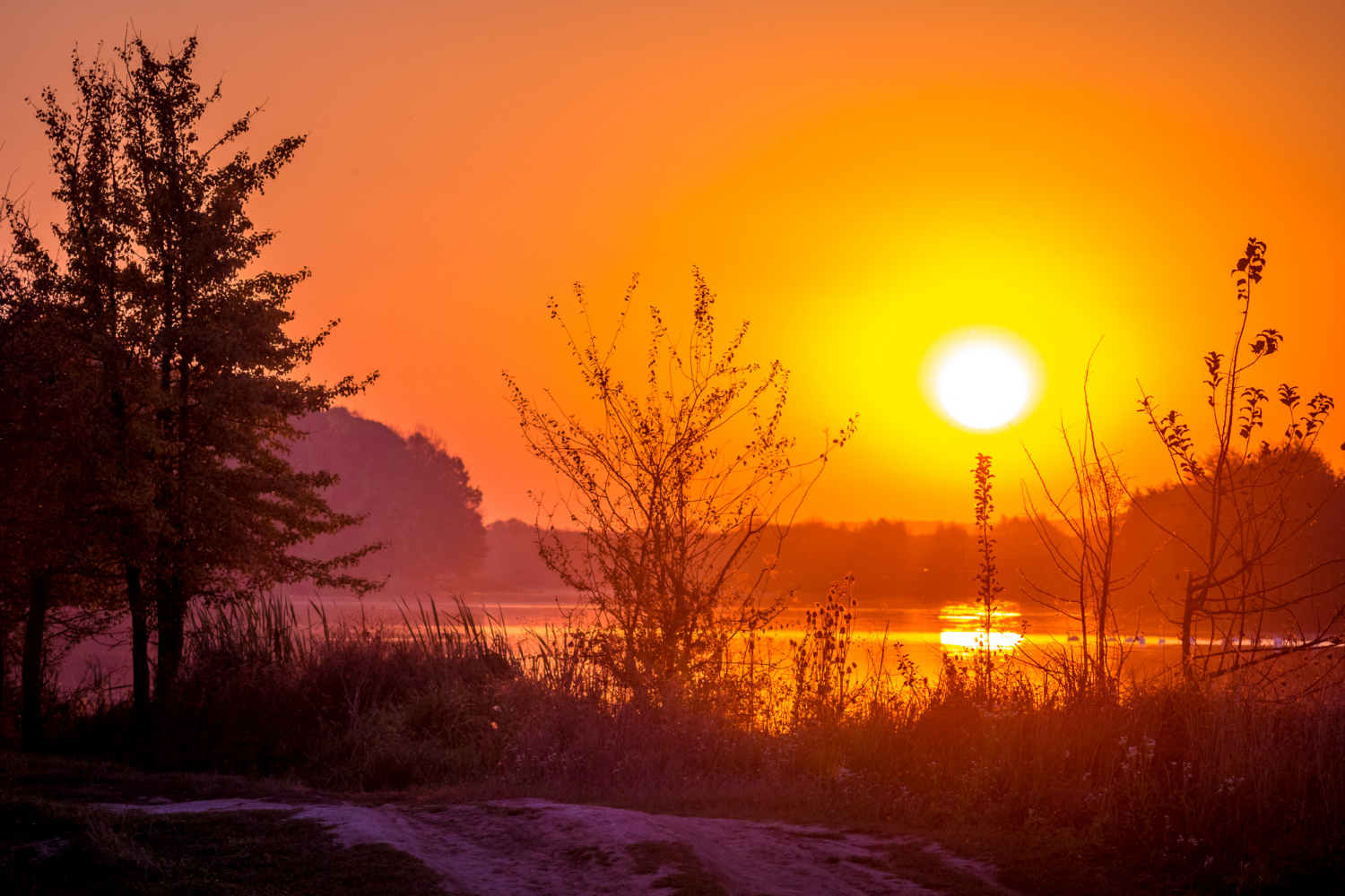 summer evening sunset