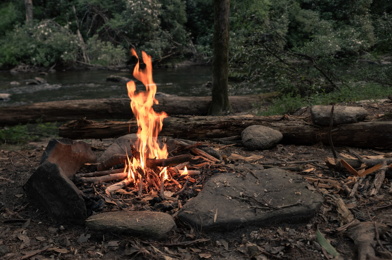 Campground