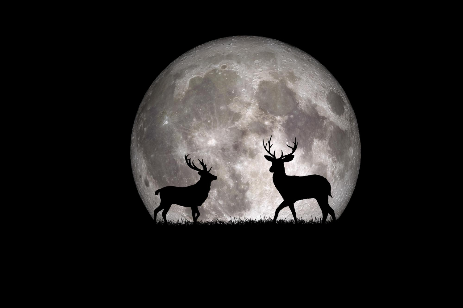 full moon