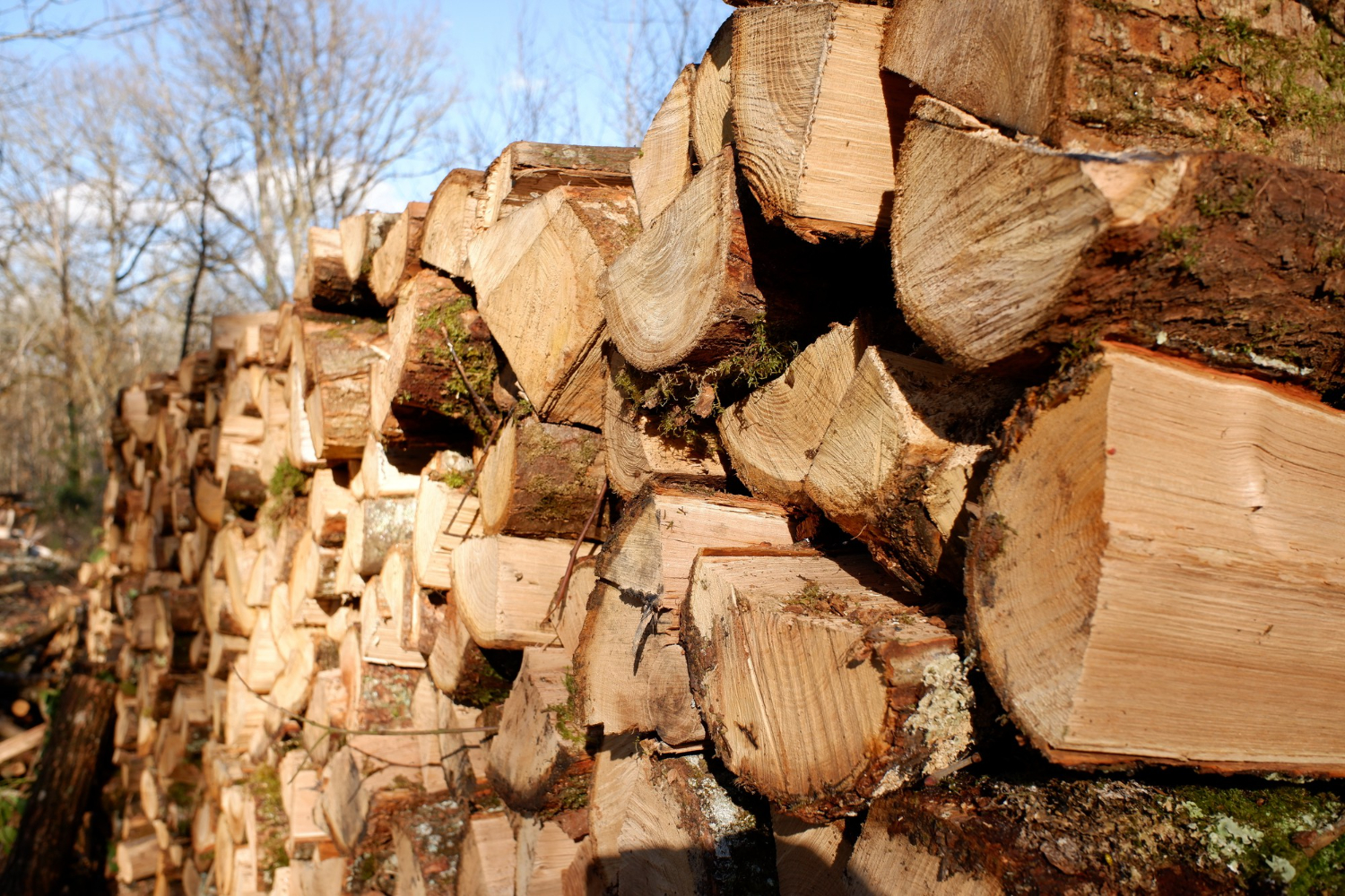 Wood bundle