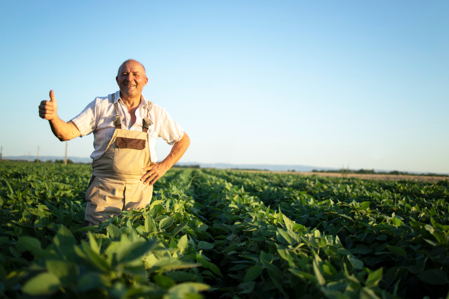 farmer