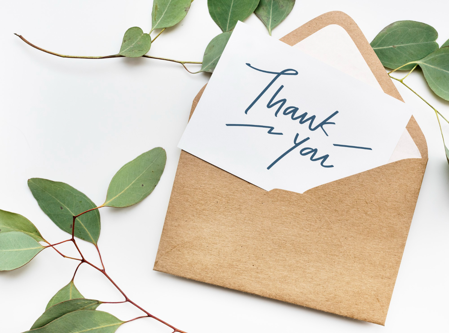 thank you note card"
