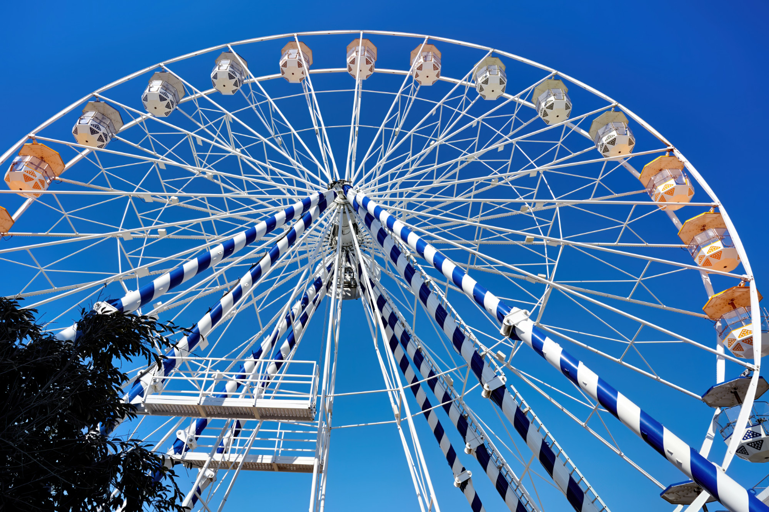 ferris wheel