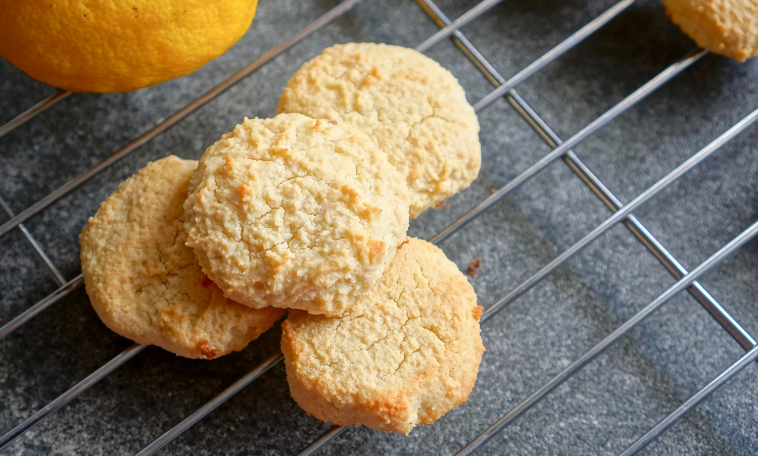 Biscuit