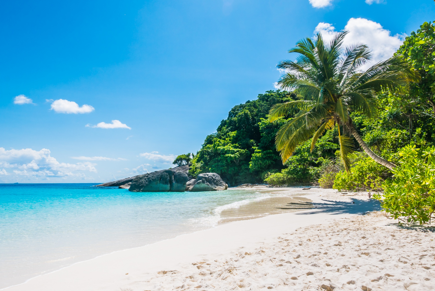 tropical beach