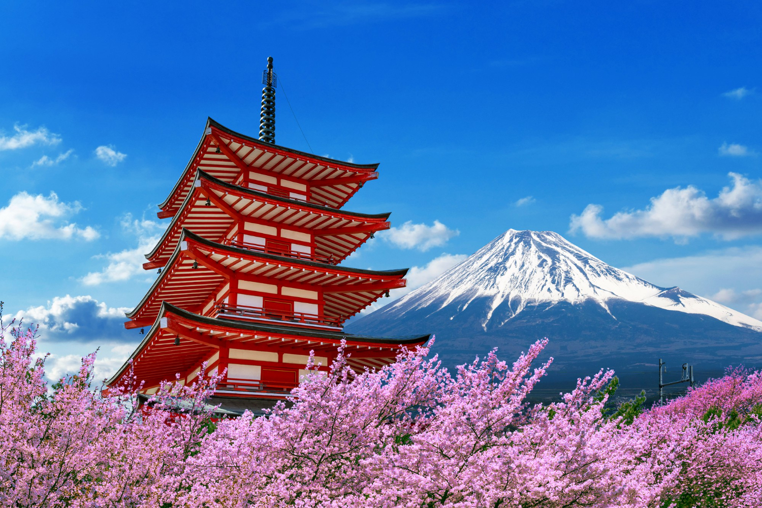 Mount Fuji