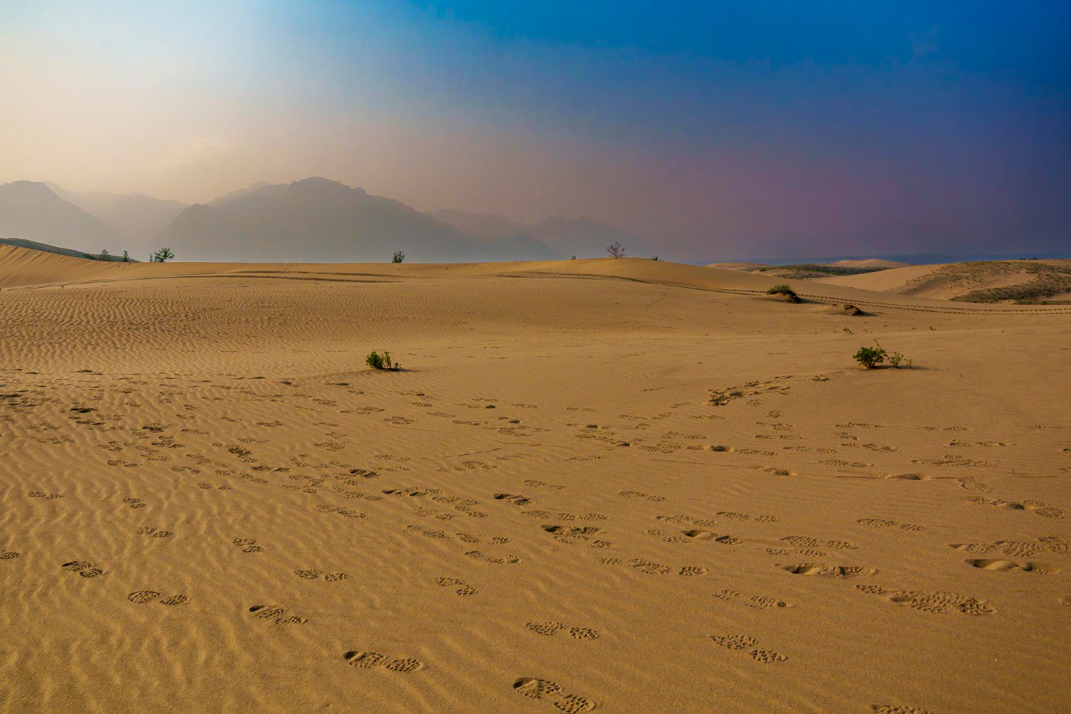 Desert