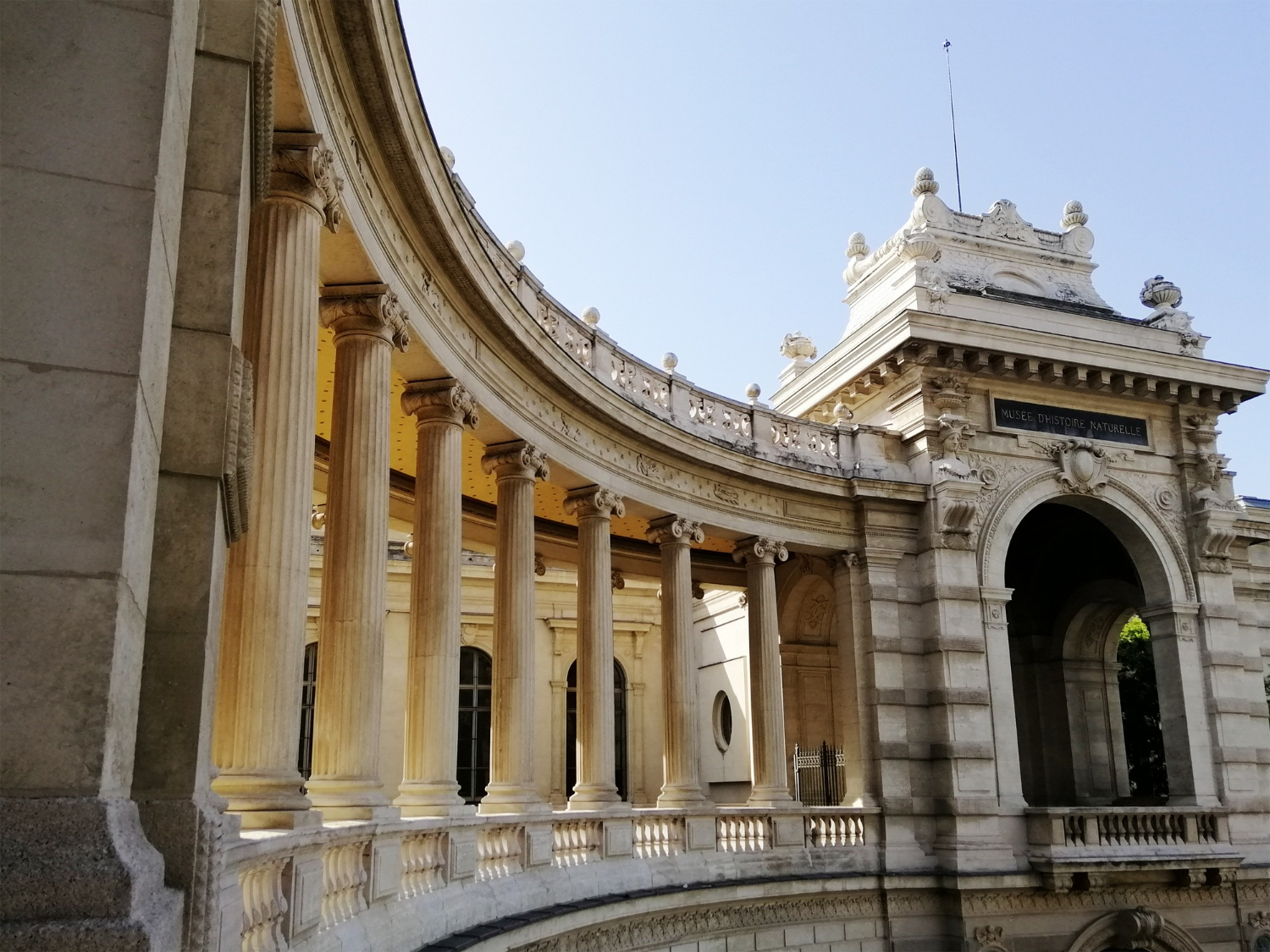 Museum