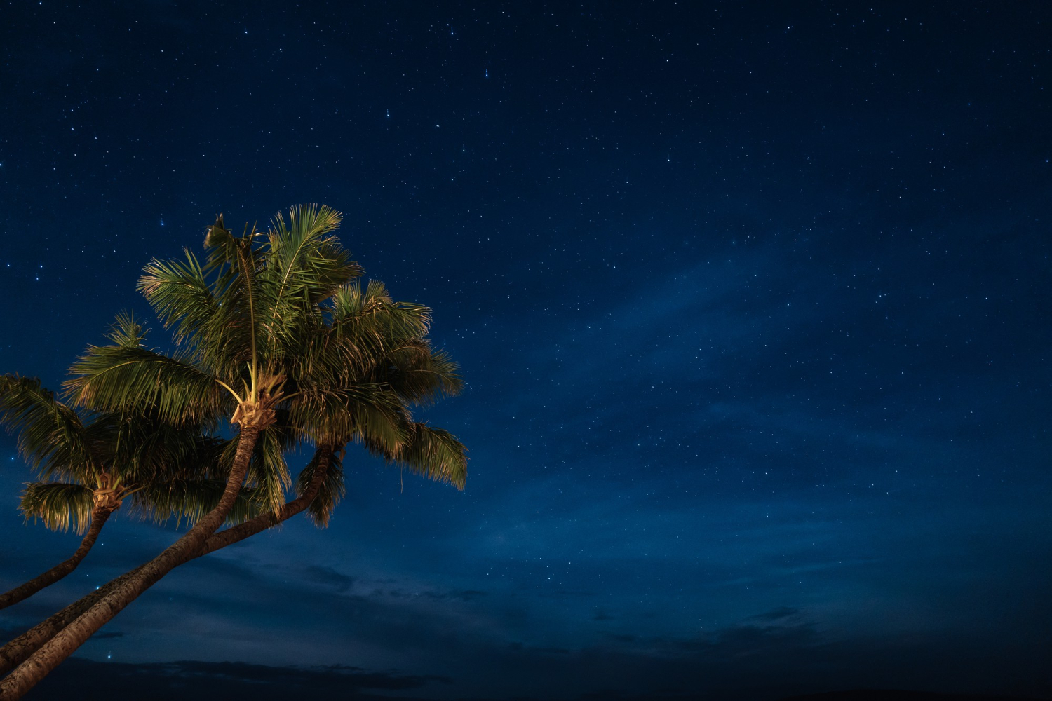 summer night sky