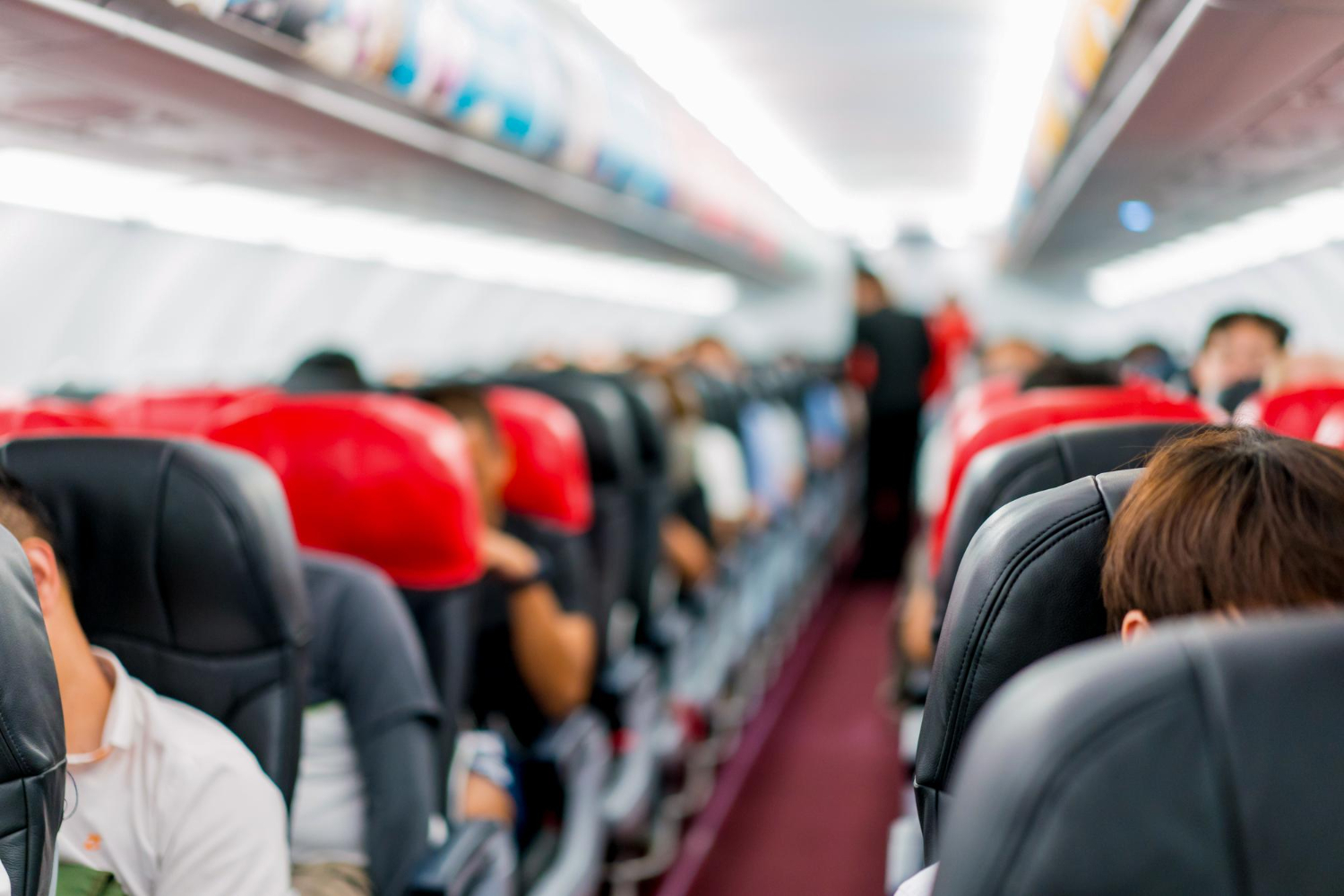 Plane inside