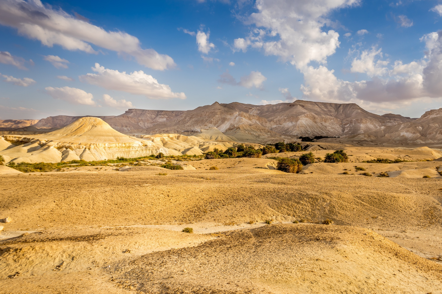Desert