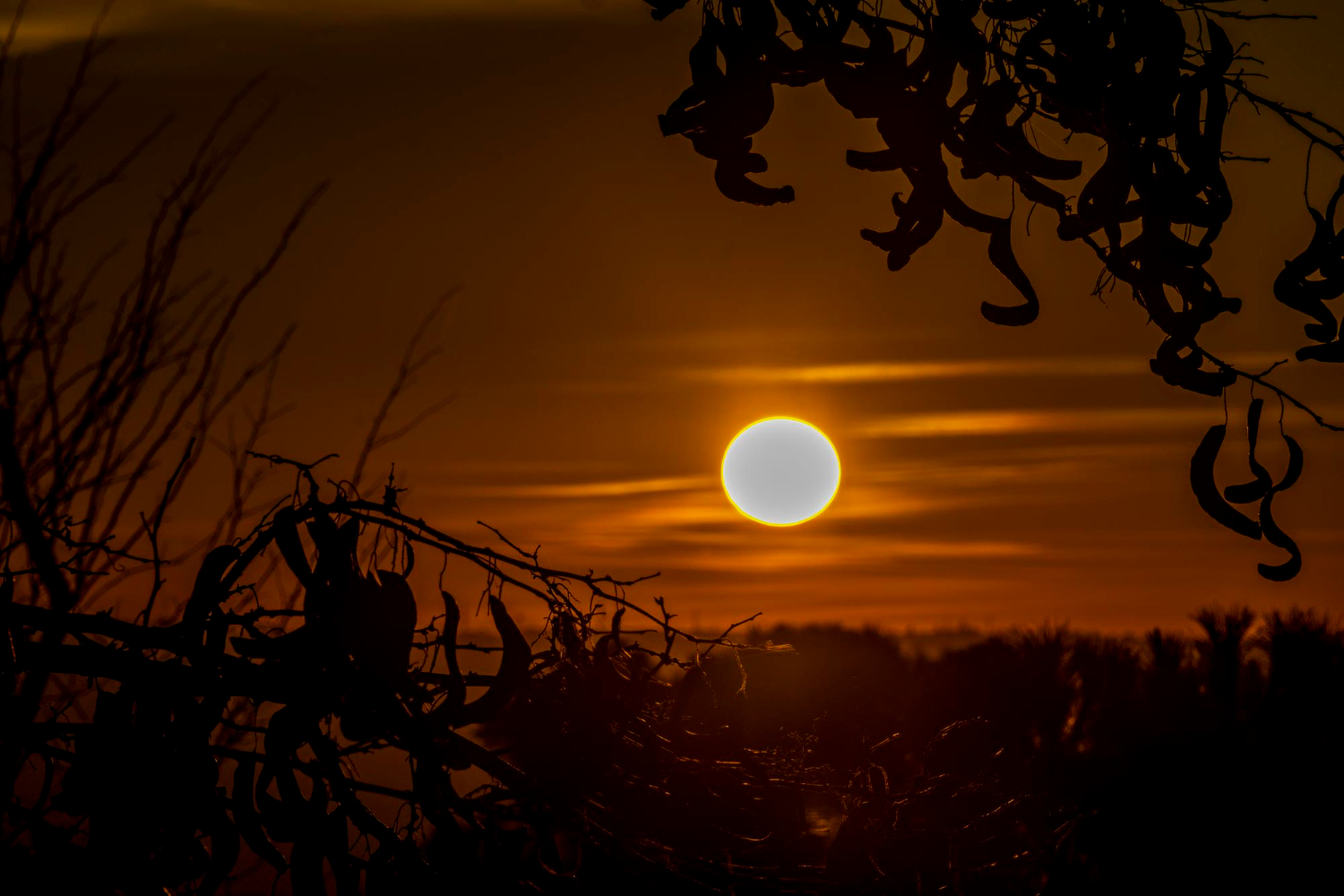 full moon