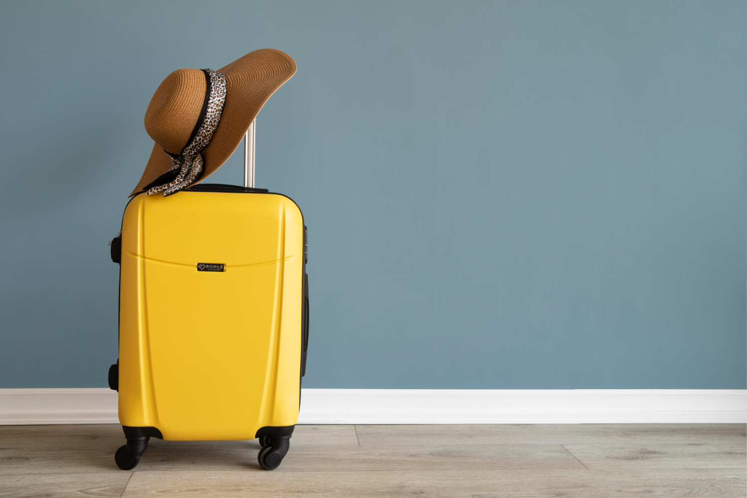 Luggage