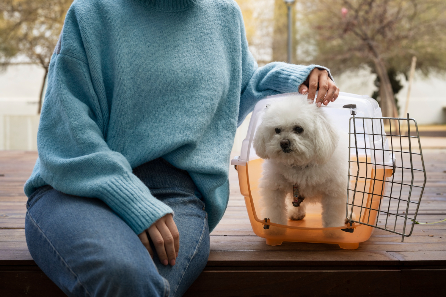 10 Things to Know Before Traveling With Your Pet