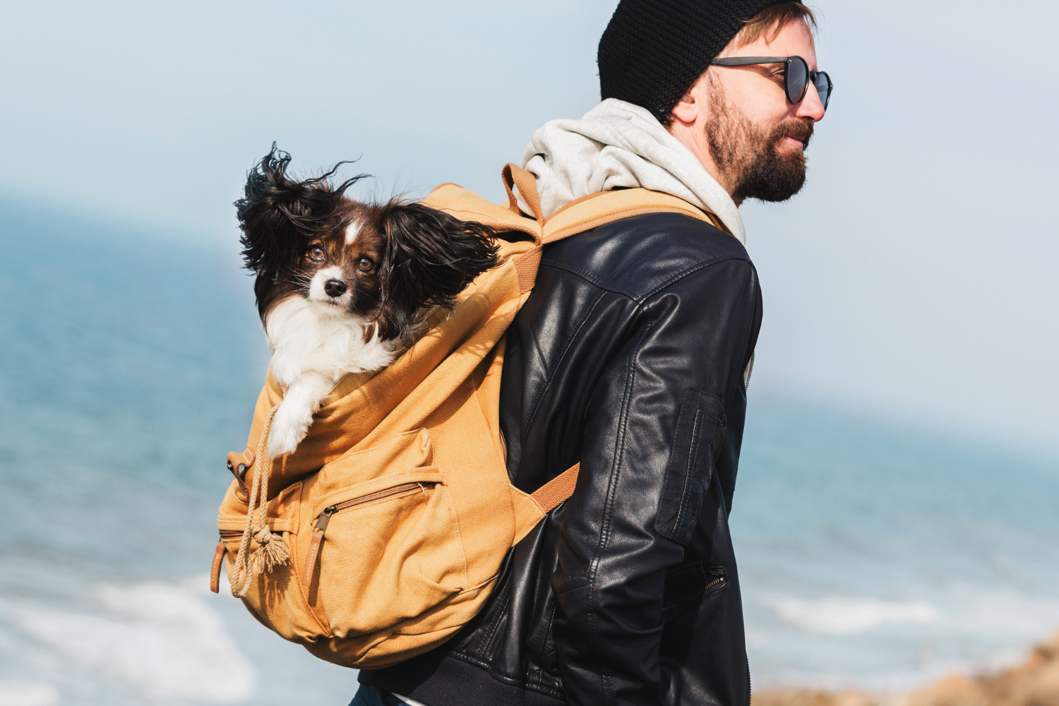 Traveler with Pet