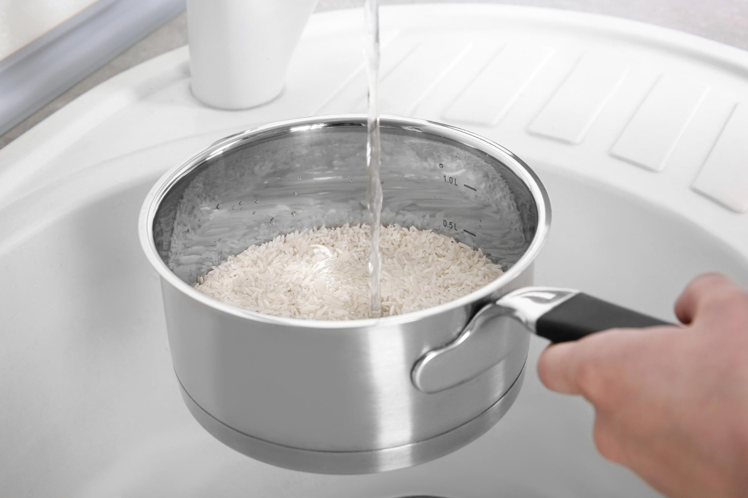 Rice