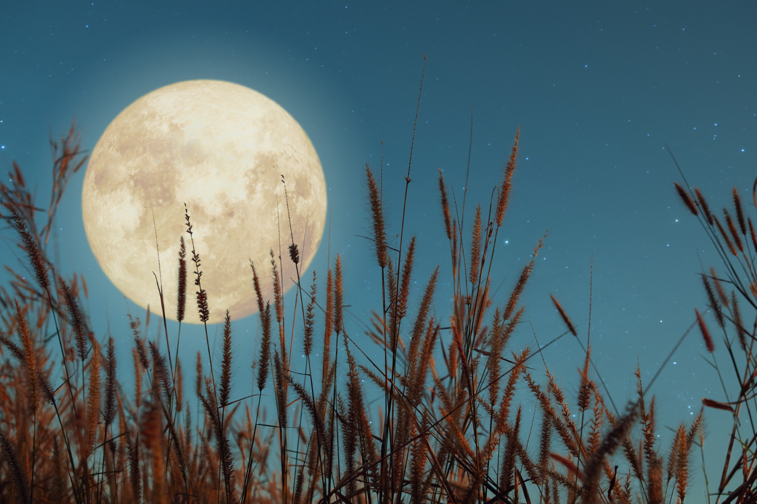 full moon