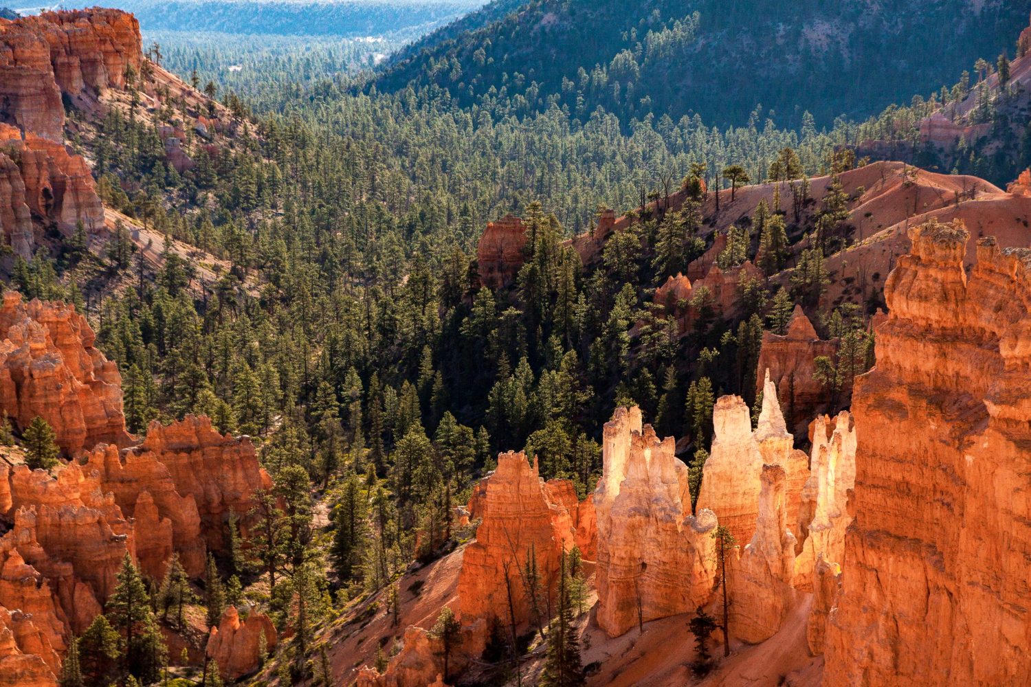 National Park