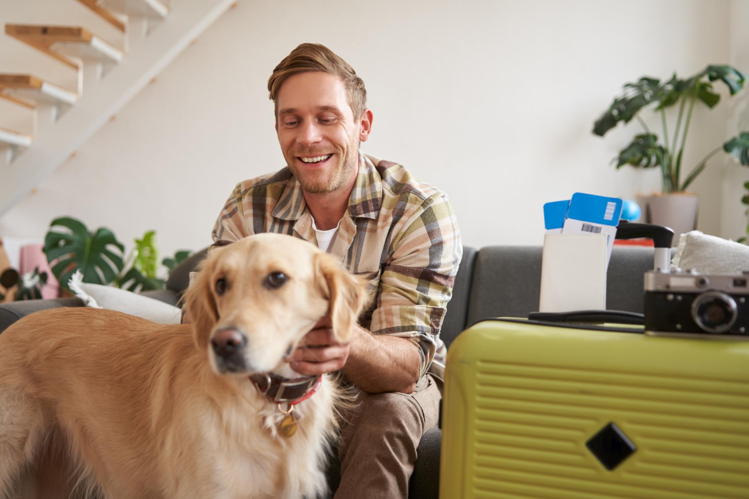 Traveler with Pet