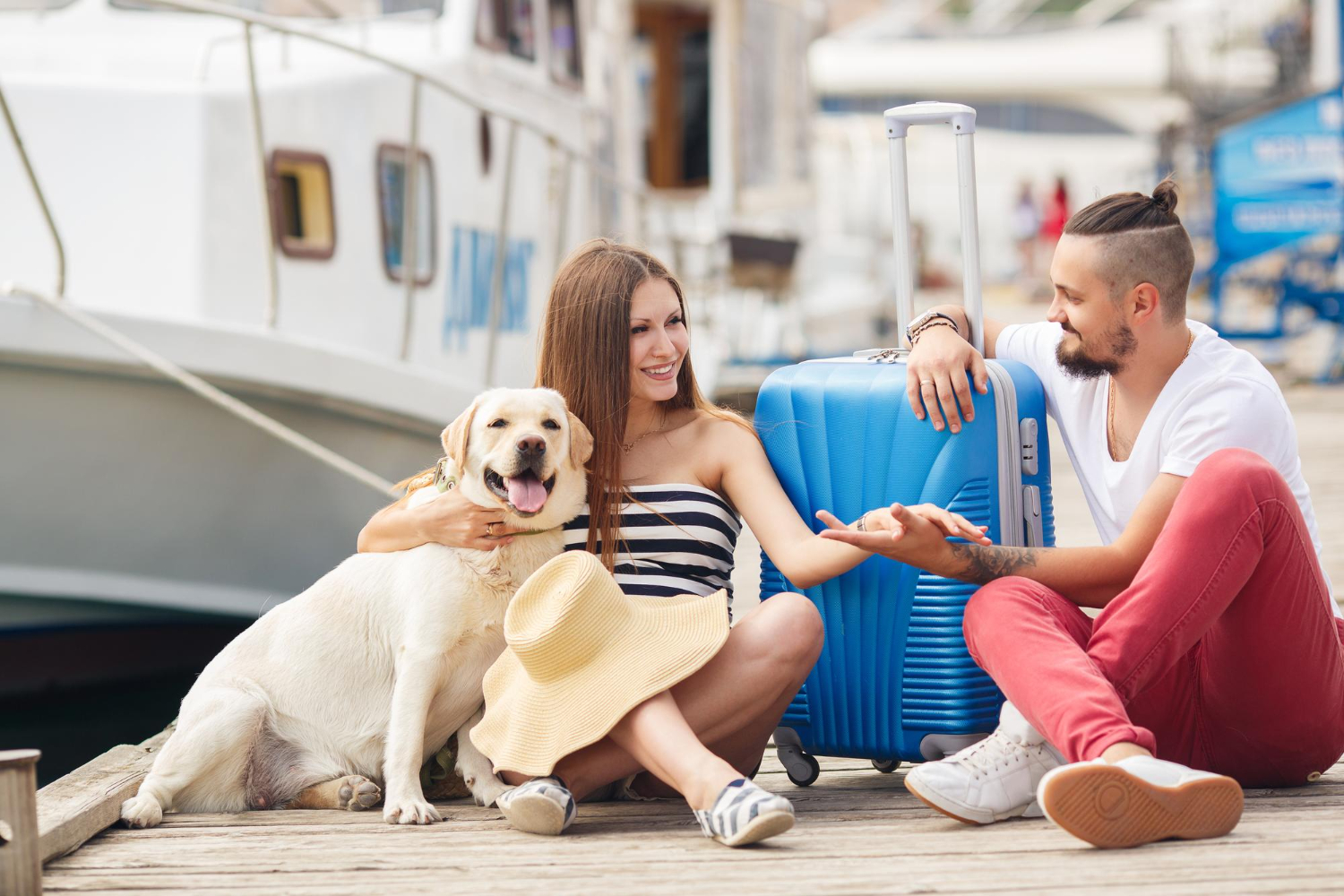 Traveler with Pet
