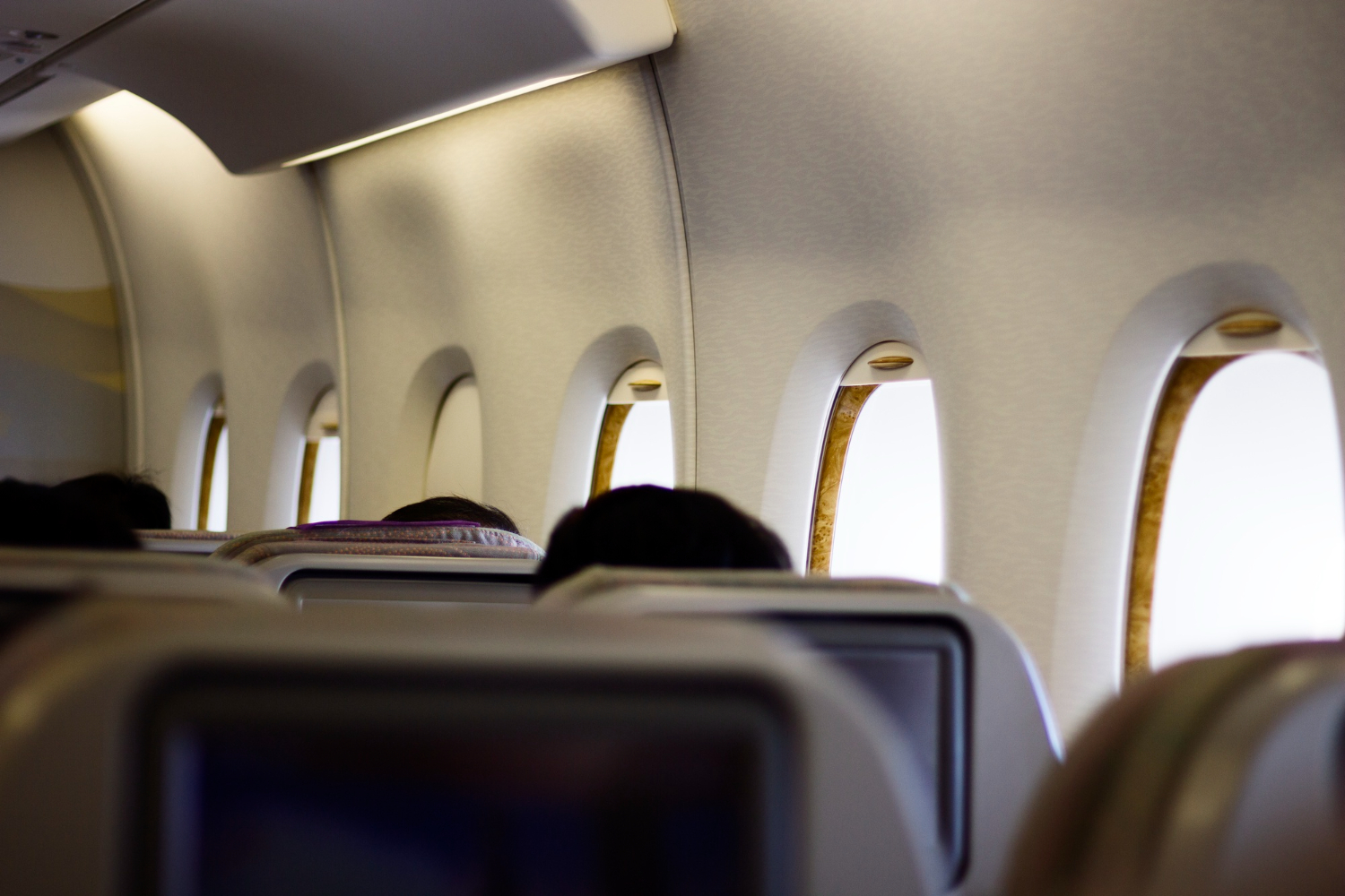 Airline