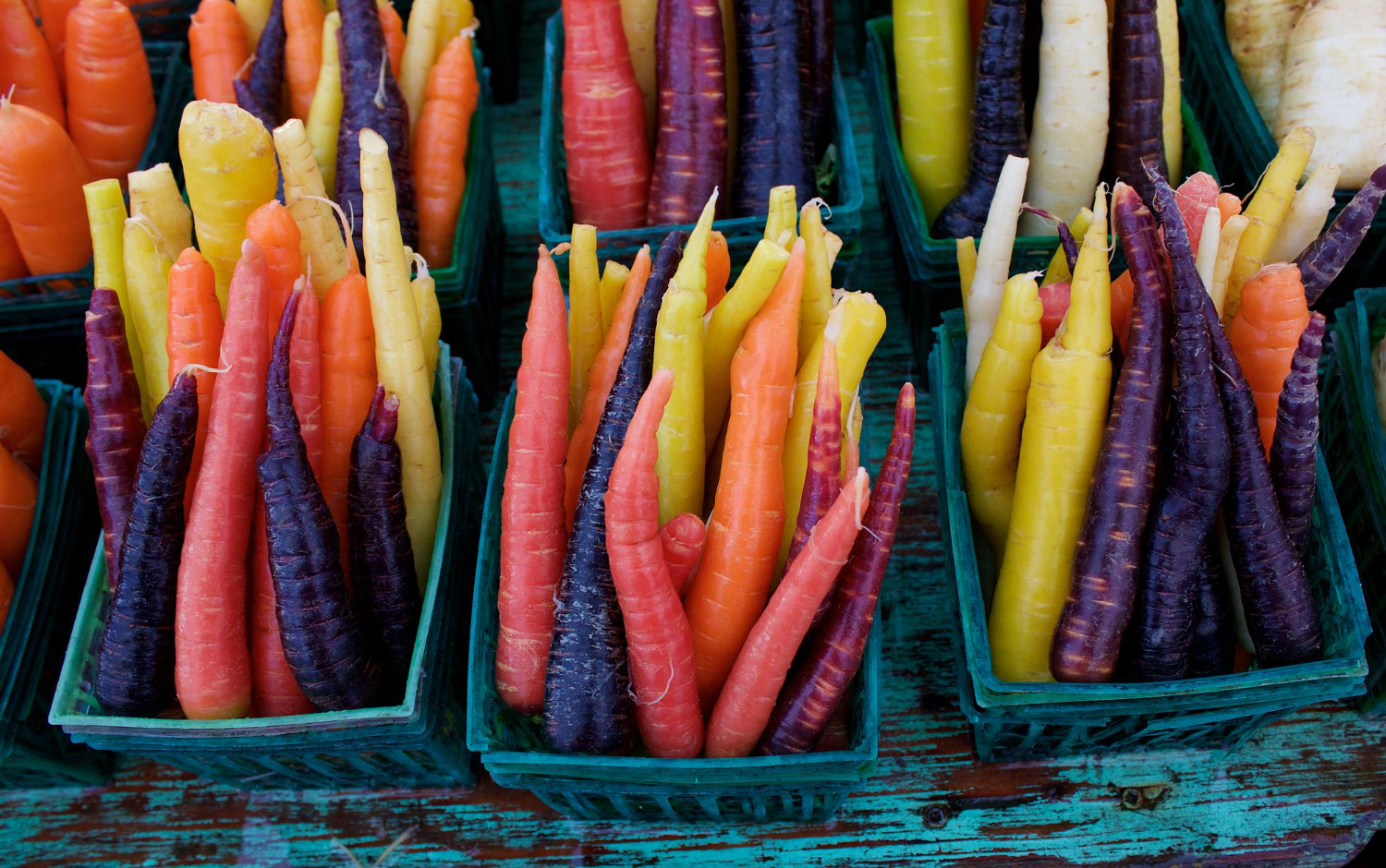 Colorful carrots