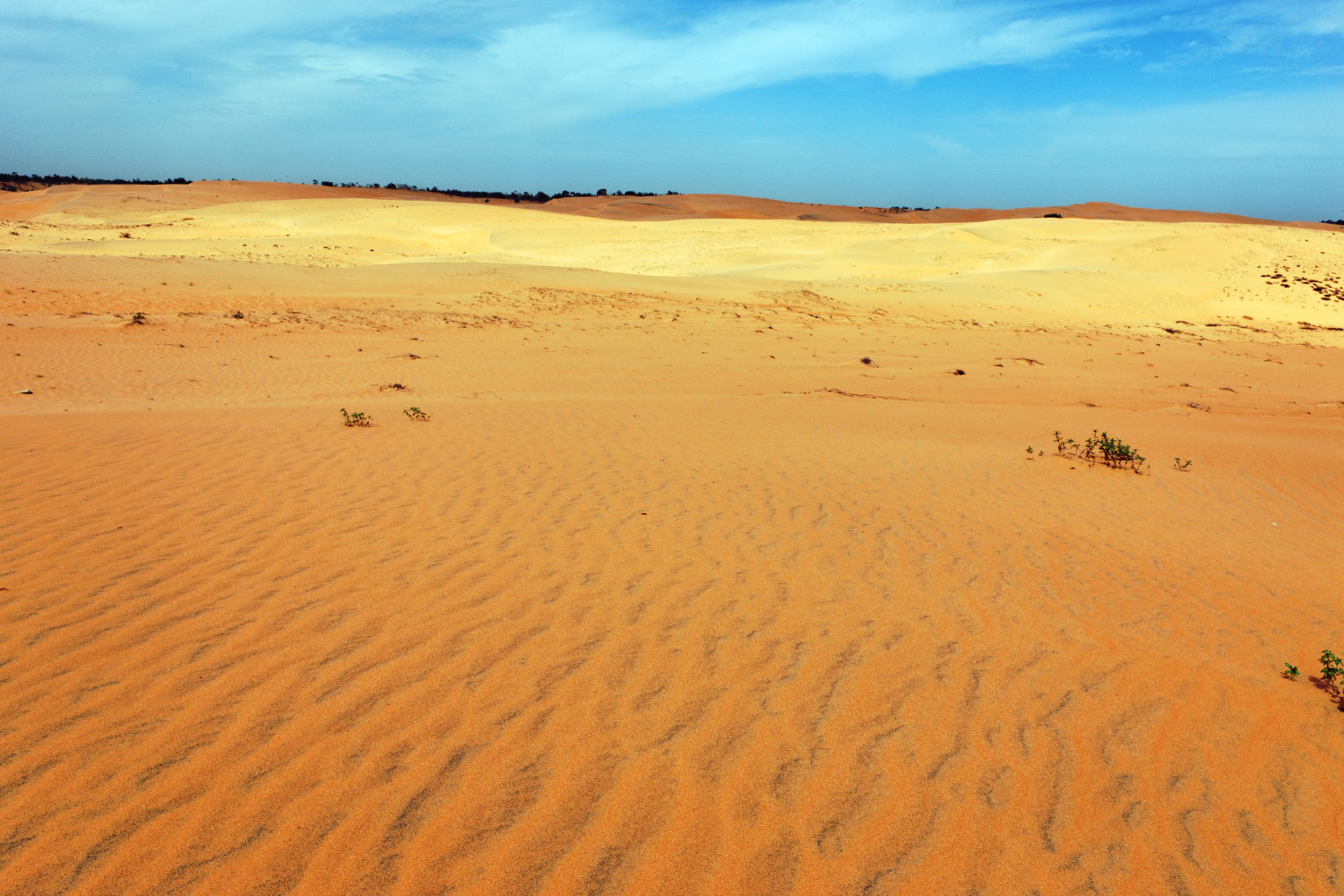 Desert