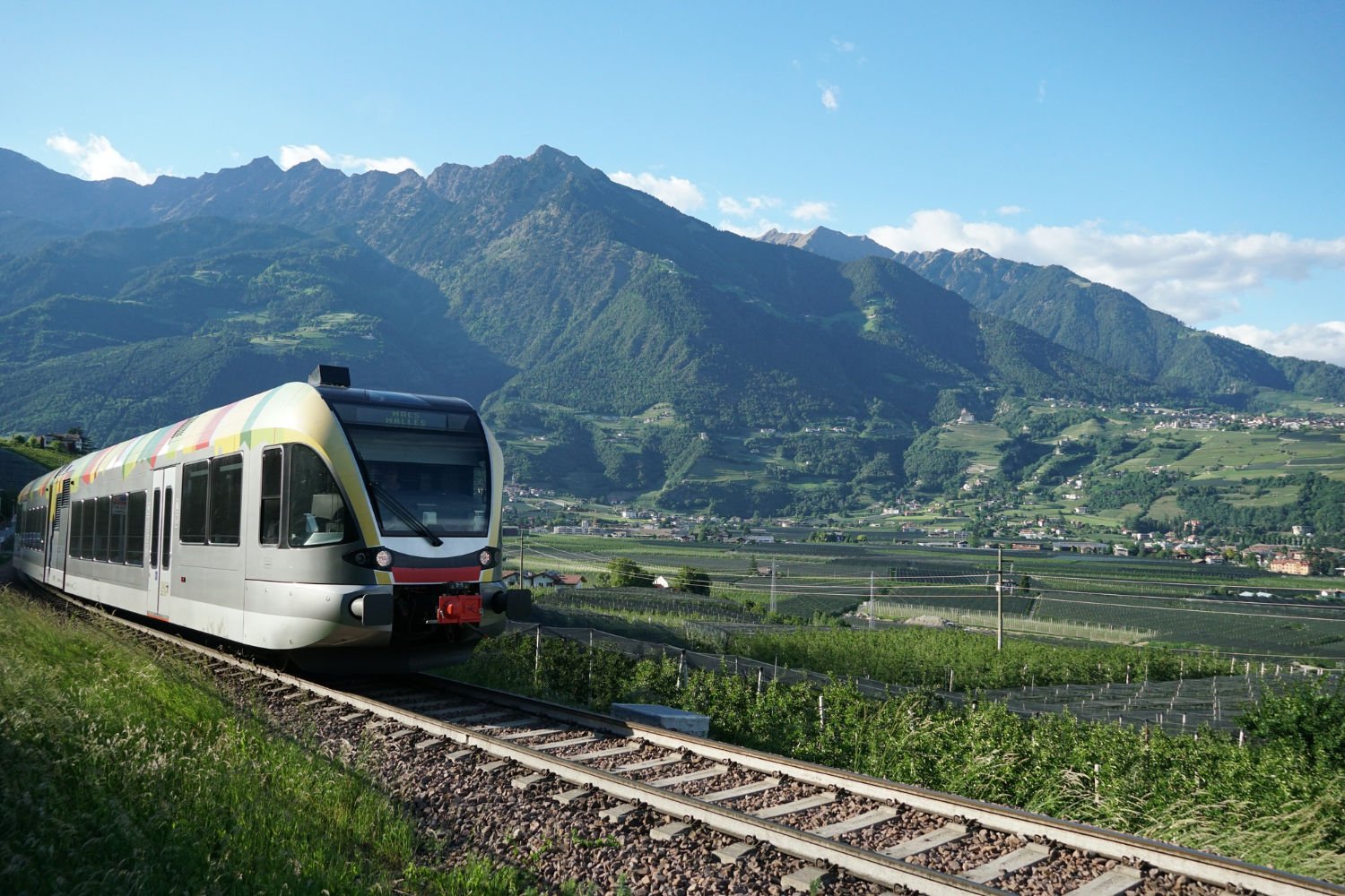 Train