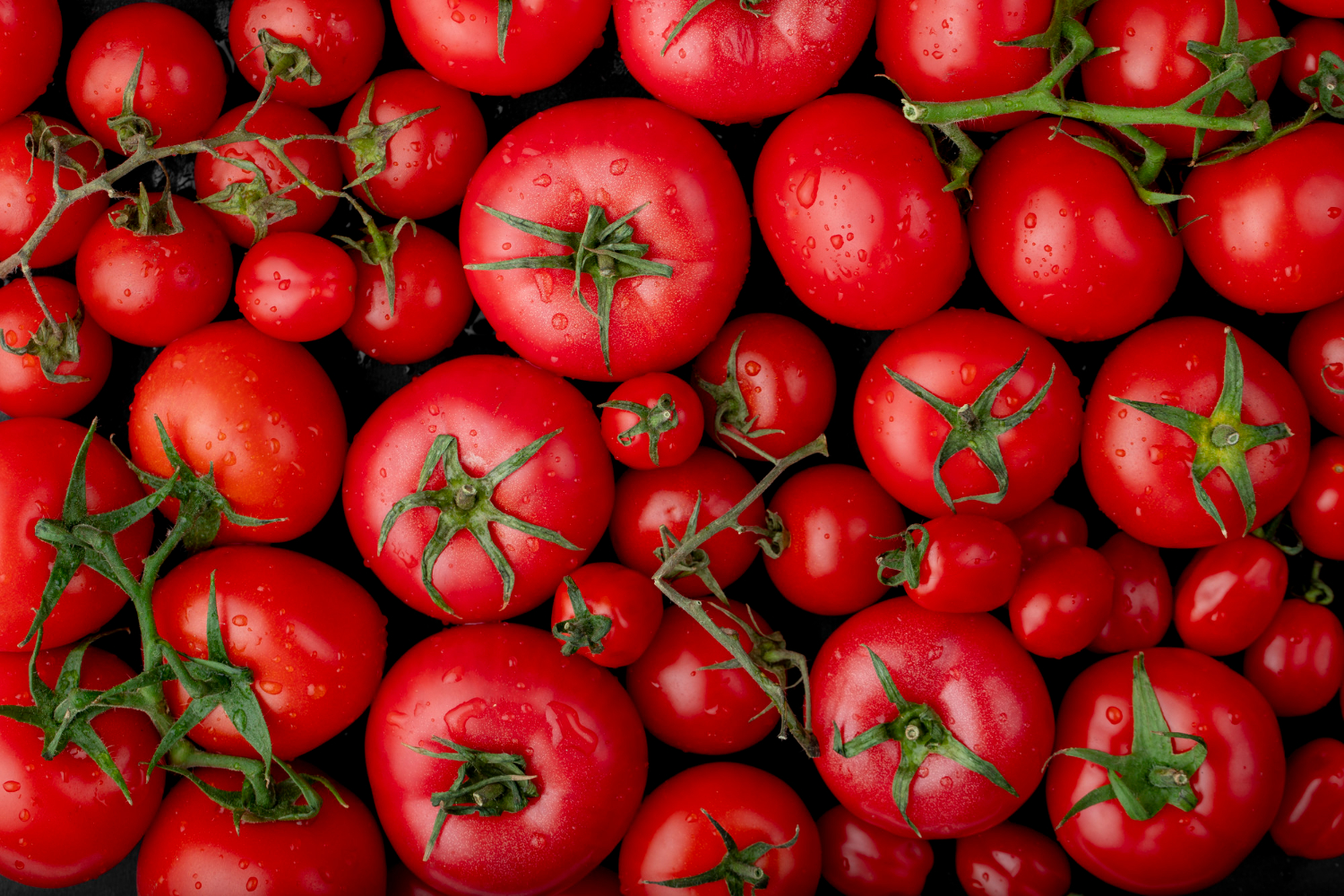 Farmers Market