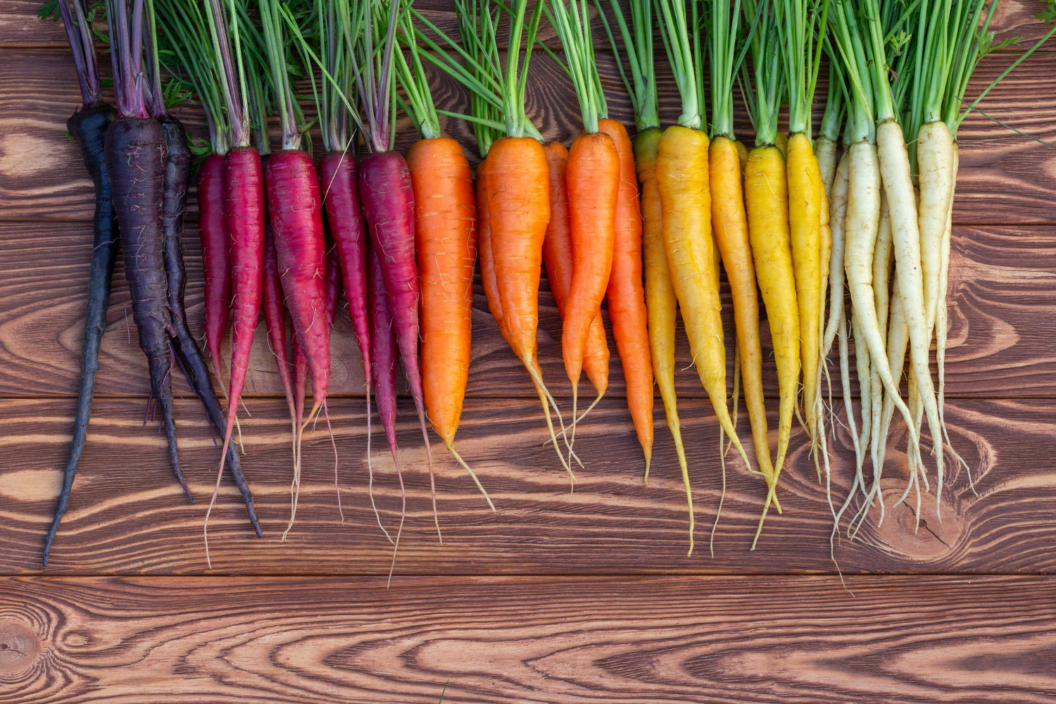 Colorful carrots