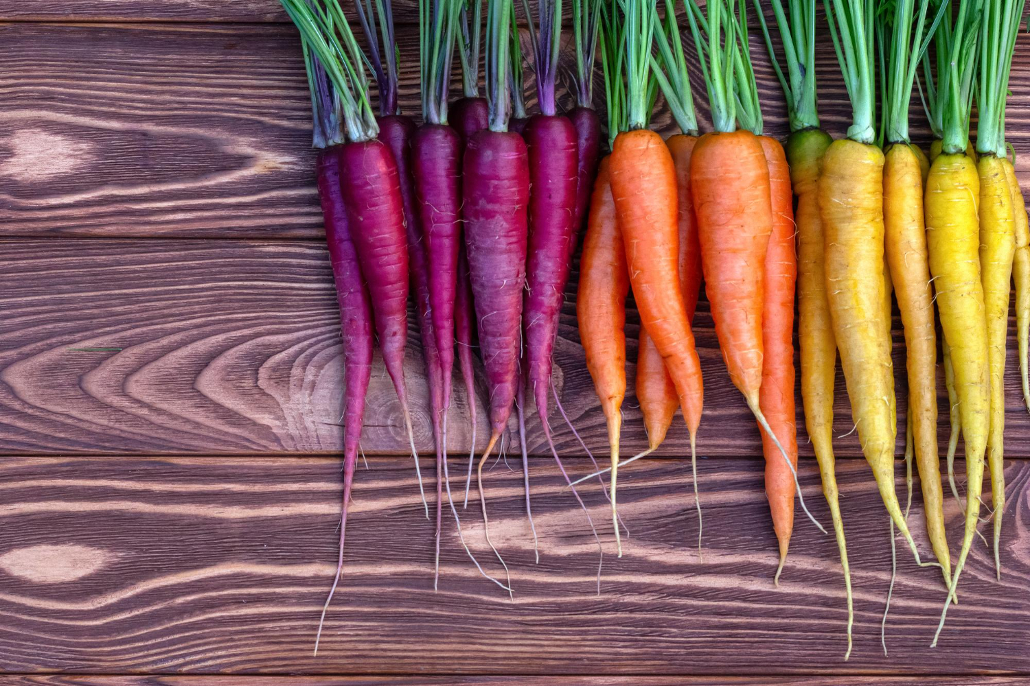 Colorful carrots