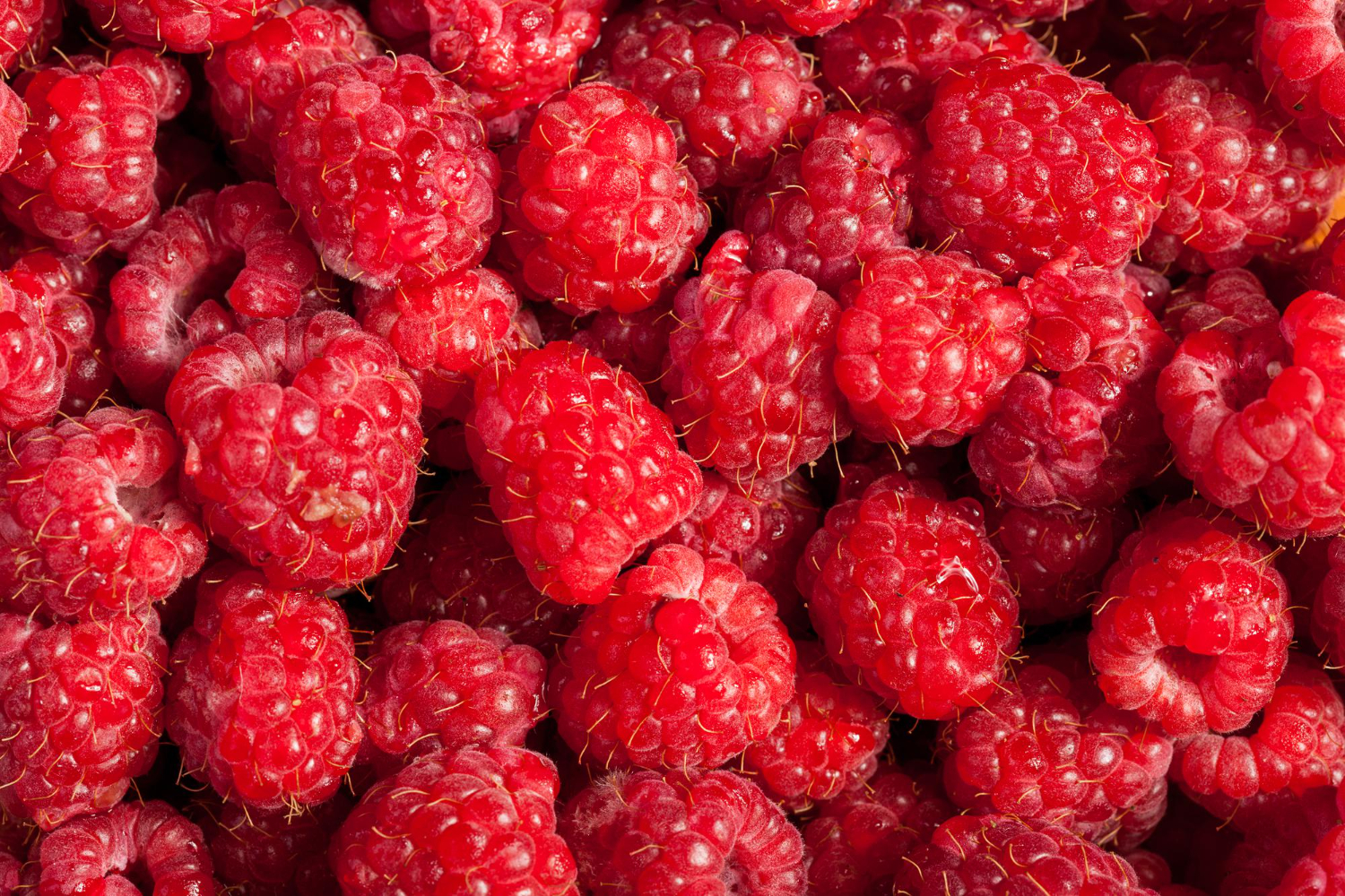 raspberries