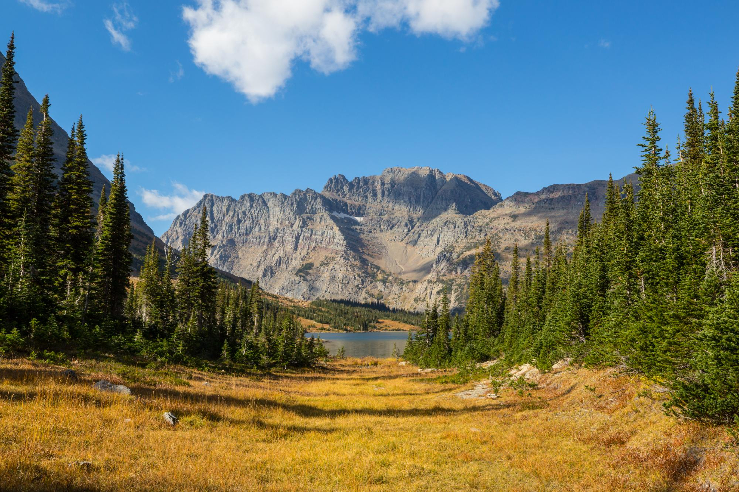 Montana