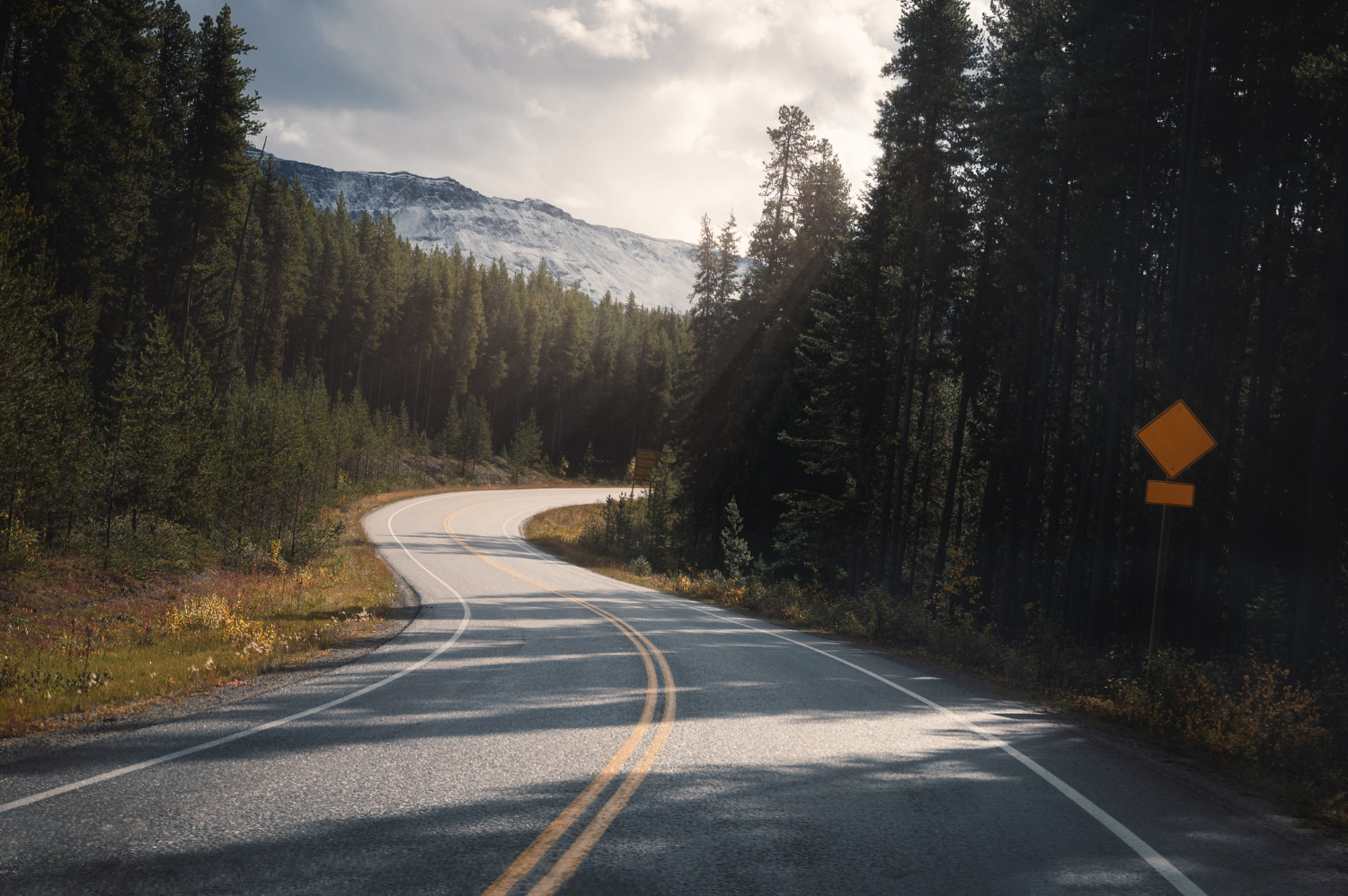 Roadside