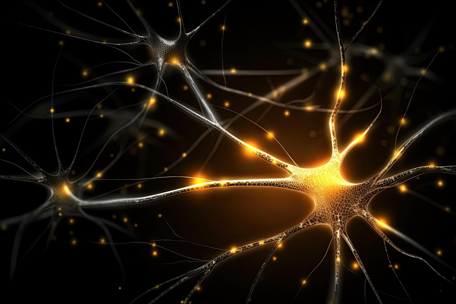 neurons connections