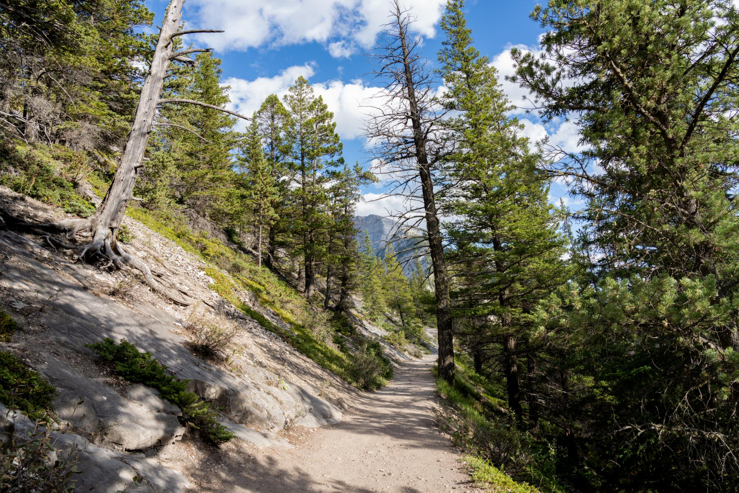 National Park