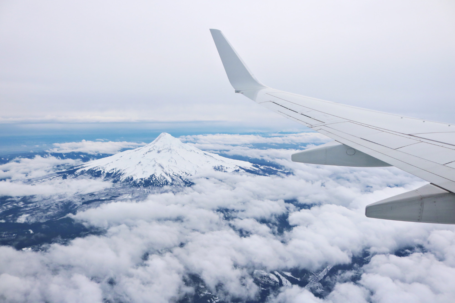 Airline