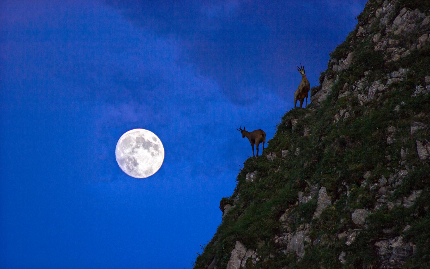 full moon