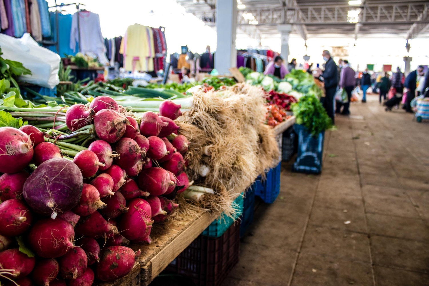 Farmers Market