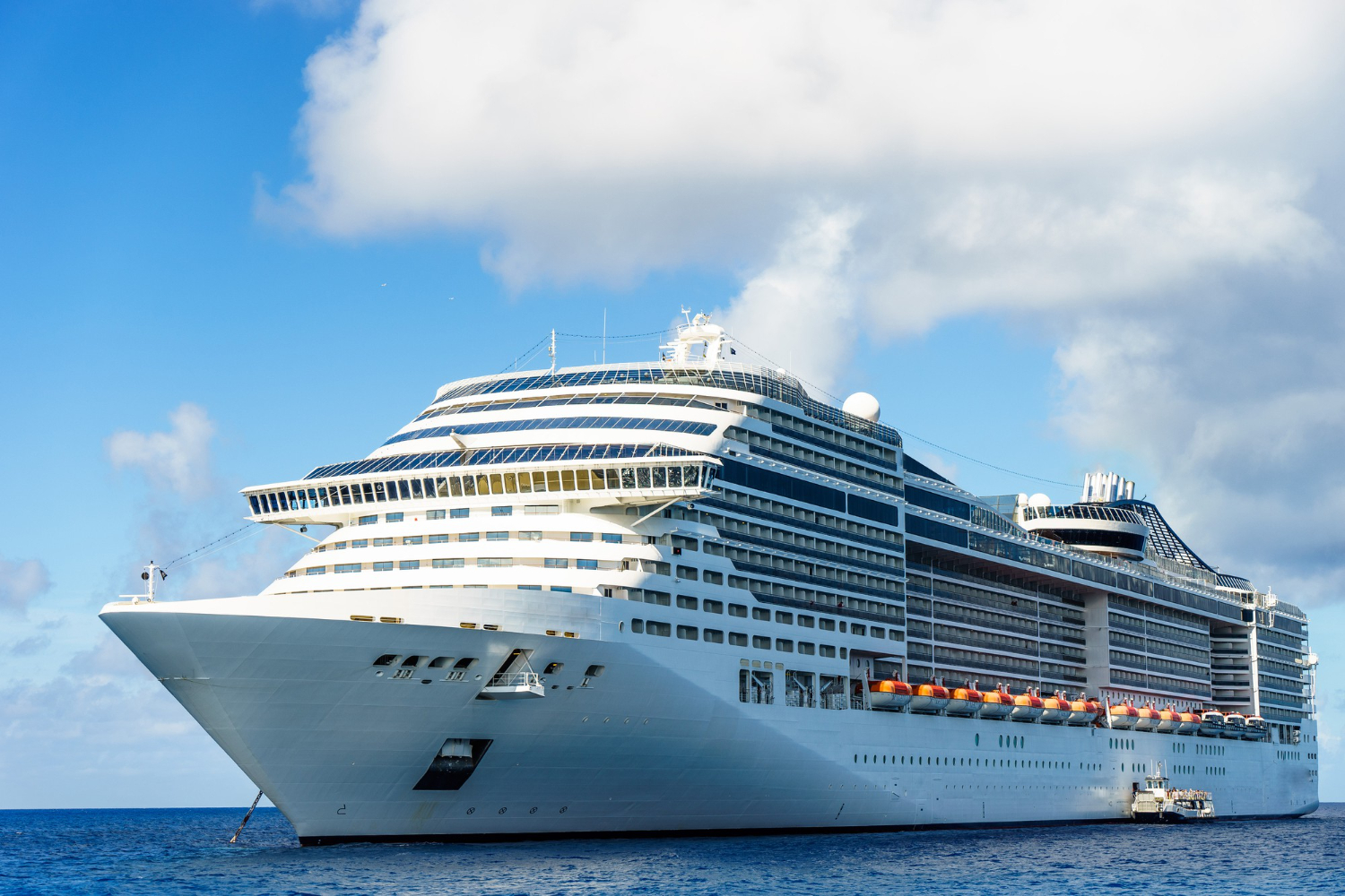 Cruise
