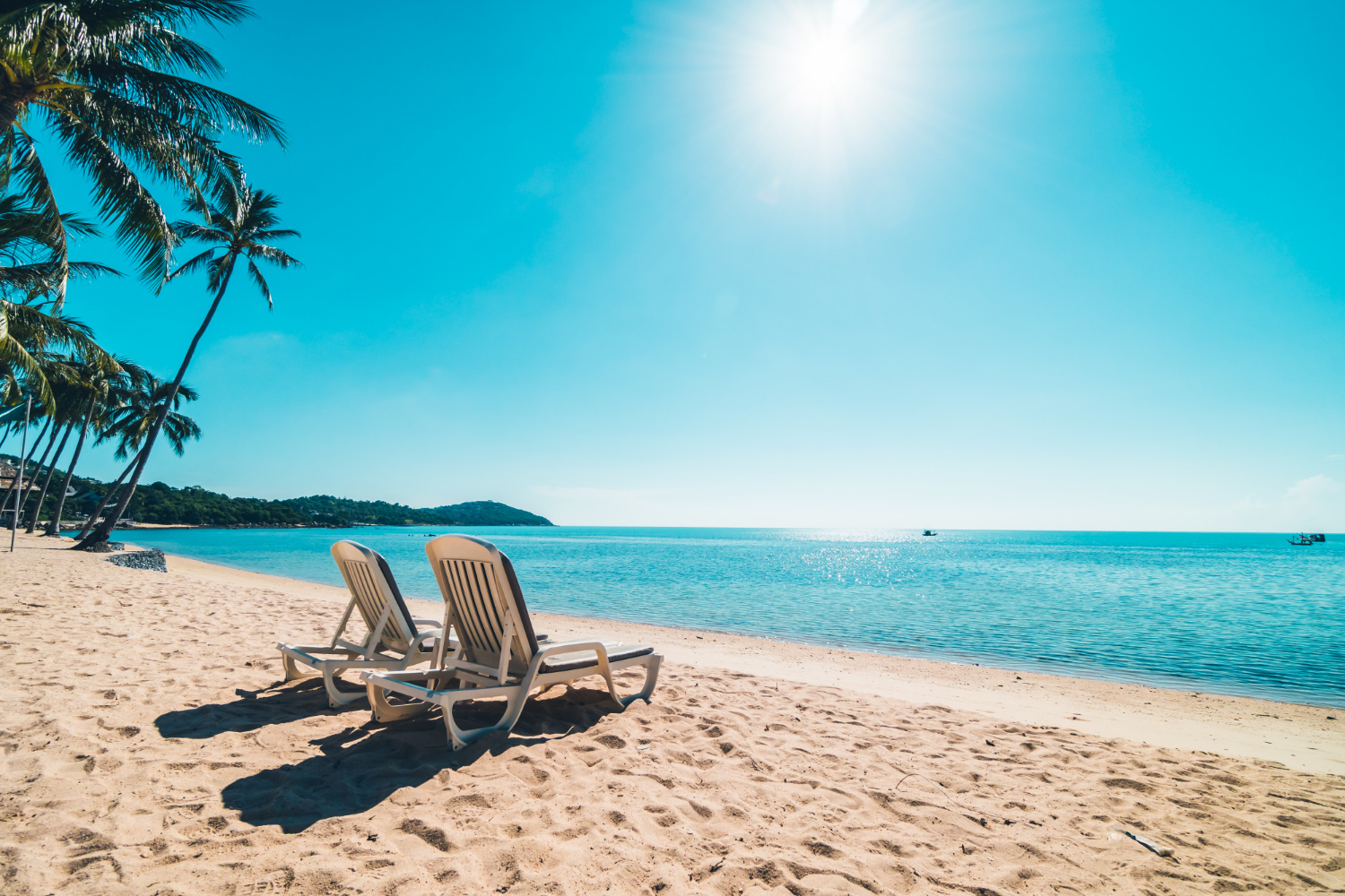 beach summer