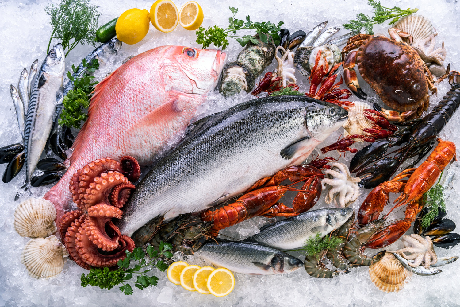 seafood