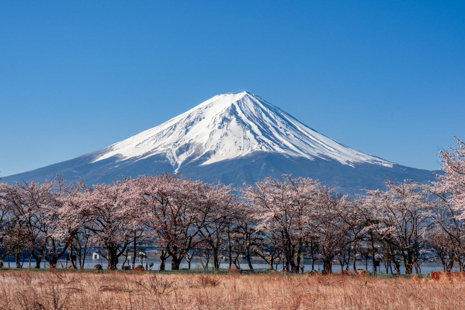 Mount Fuji