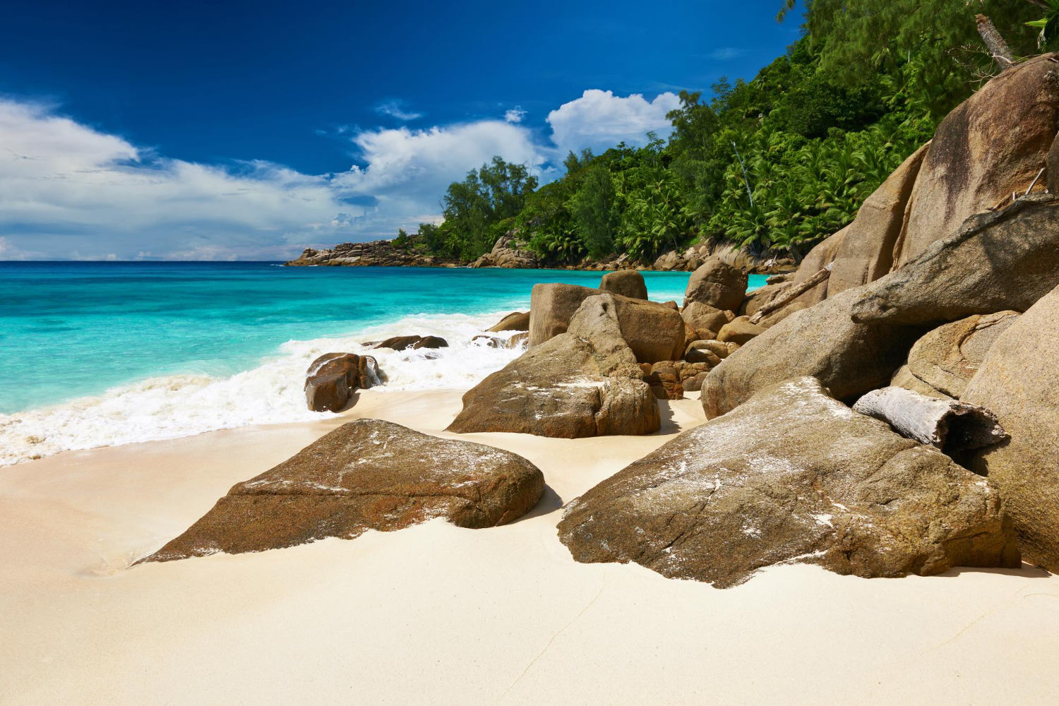 Seychelles beach