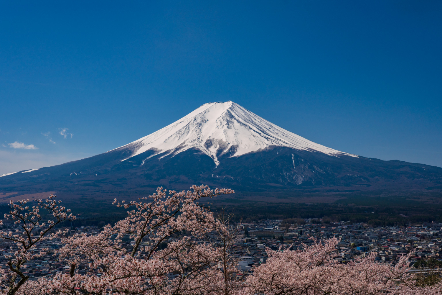 Mount Fuji